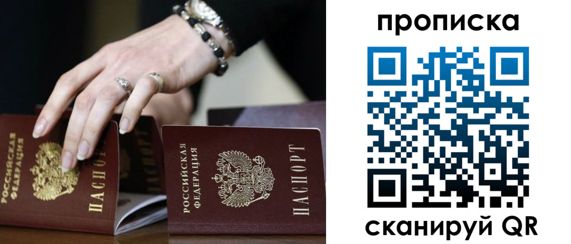 прописка для школы в Мончегорске